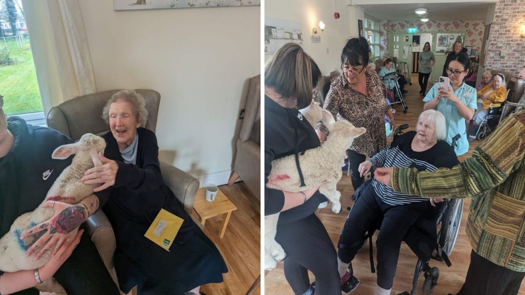 Animal Therapy at Kirby House Care Home in Leicestershire