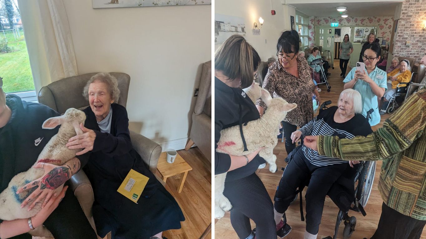 Kirby House Care home Residents joyful moment meeting the lambs