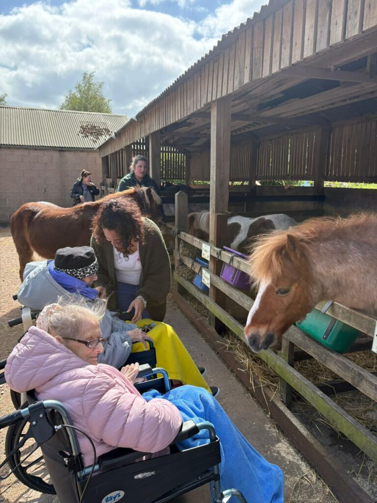Kirby House Care Home Farm Visit: Residents Enjoy a Wonderful Day at Stonehurst Farm