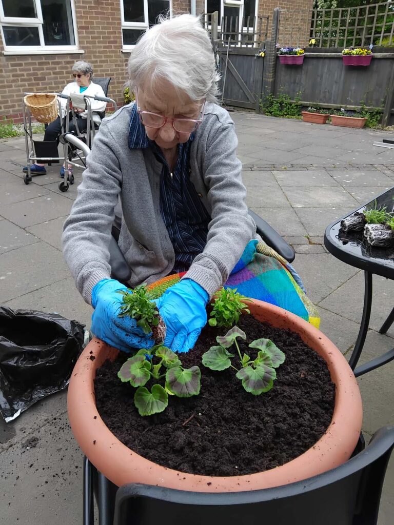 Tillson House Care Home Gardening Activities Bring Residents Together Outdoors