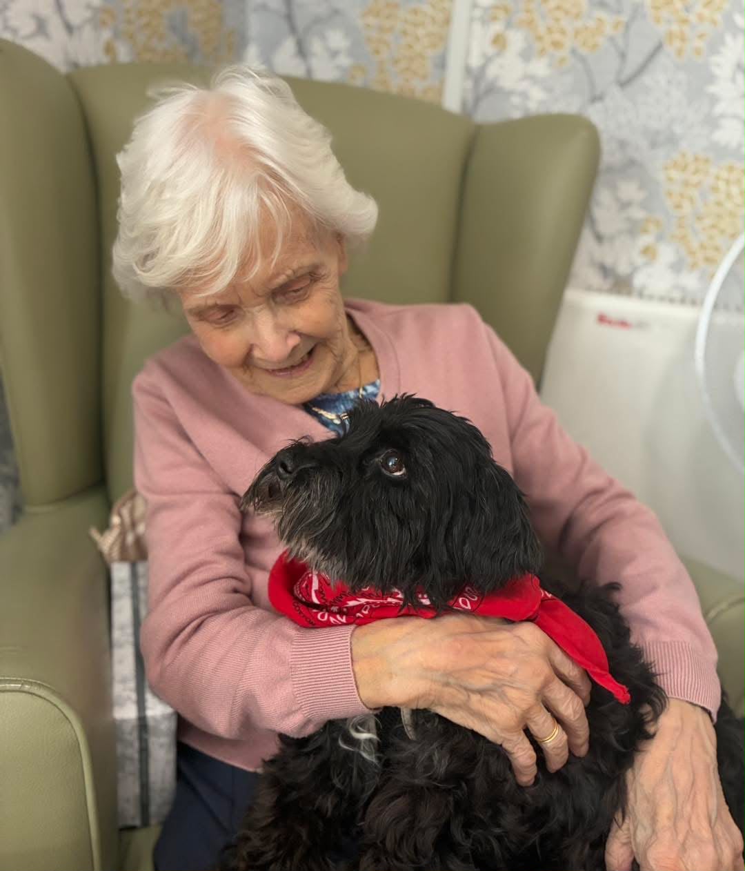 Huntingdon Court Care Home pet visits